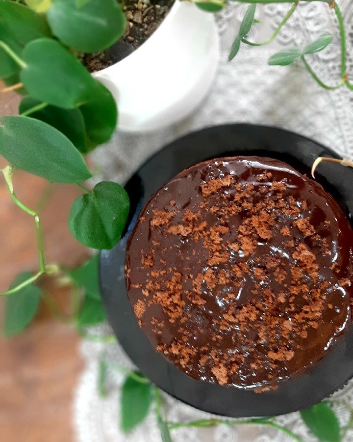 عکس کیک شکلاتی بی بی