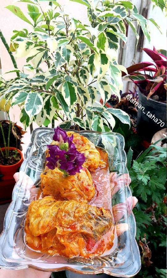 عکس دلمه کلم مجلسی