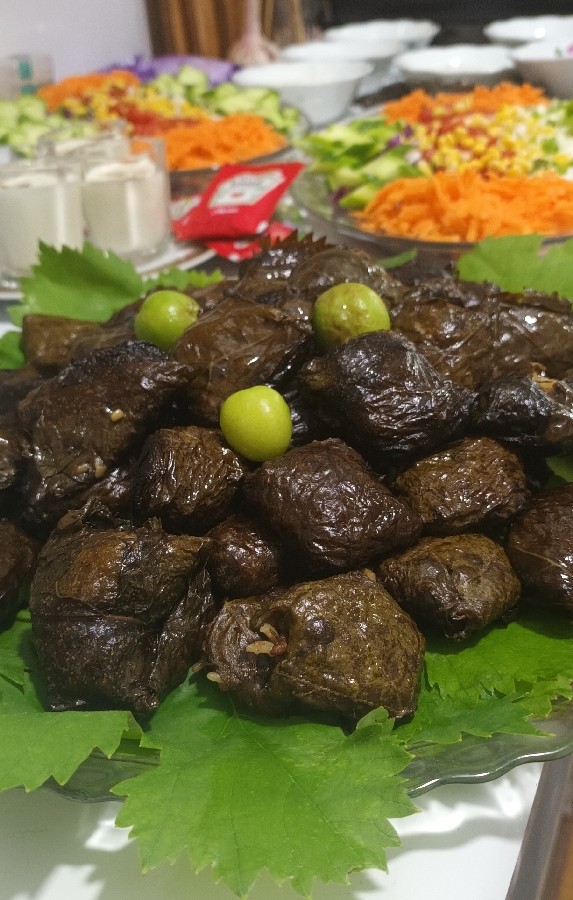 عکس دلمه برگ مو
ورق بزن عزیزم