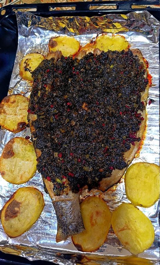 عکس روزمرگی