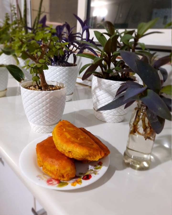 عکس پیراشکی 