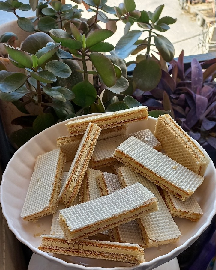 عکس ویفر رنگارنگ