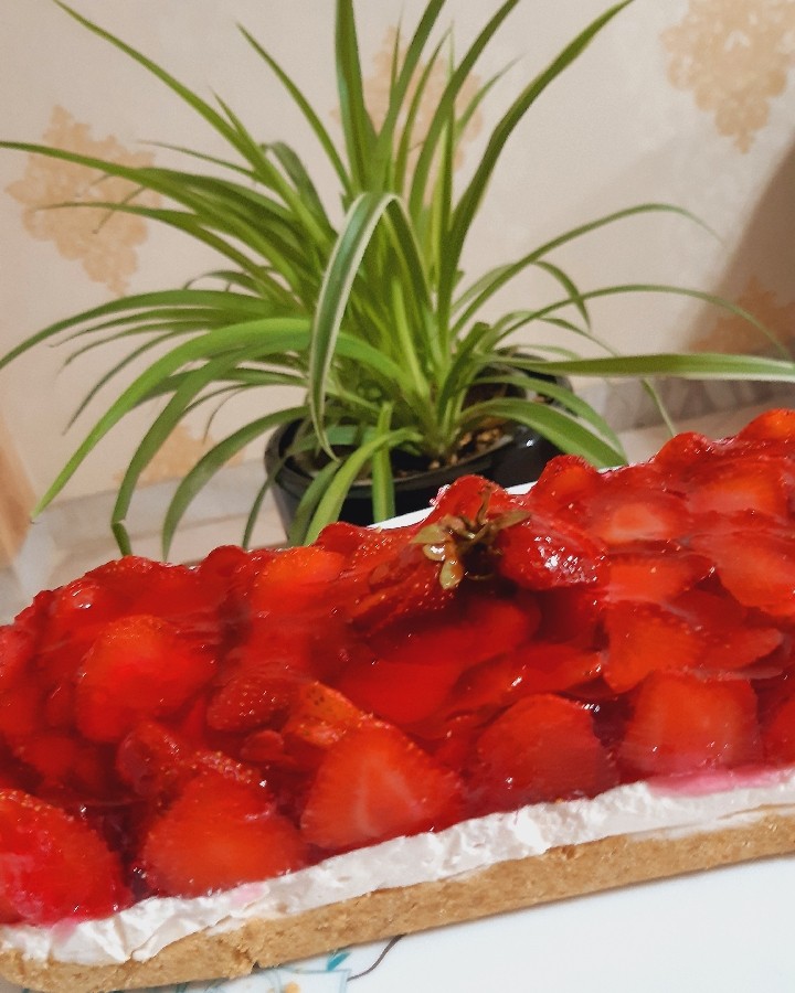 عکس چیز کیک