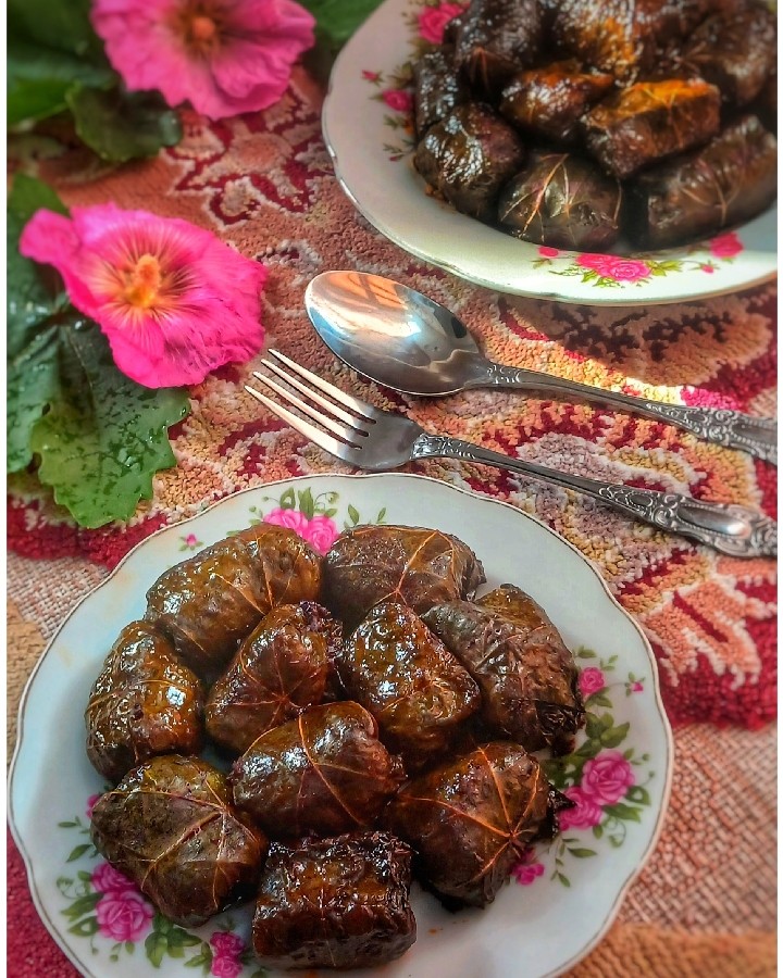 عکس دلمه برگ مو 
