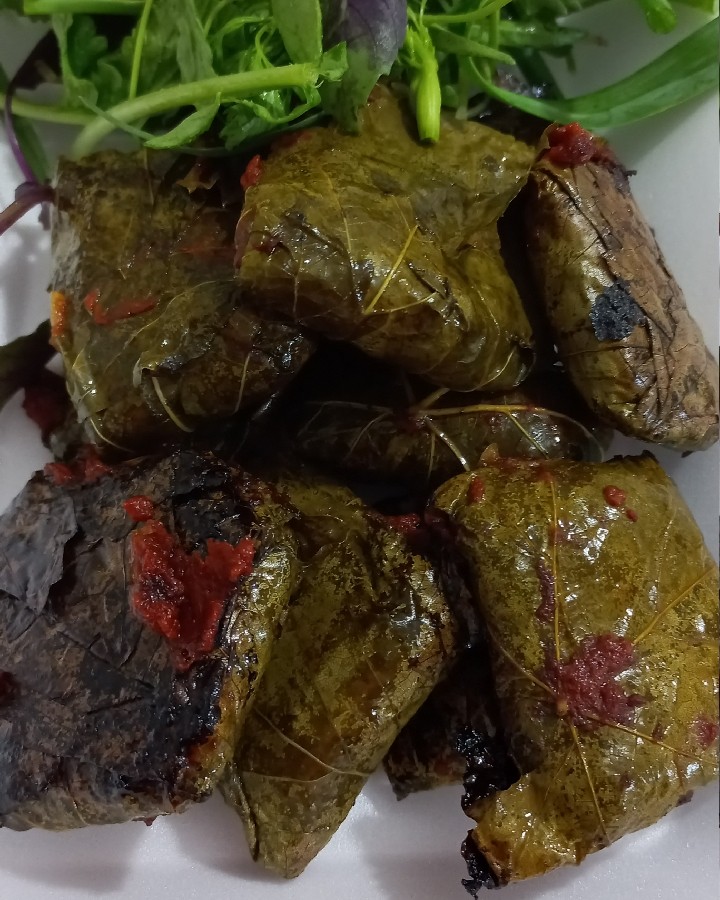 عکس دلمه تو صحرا