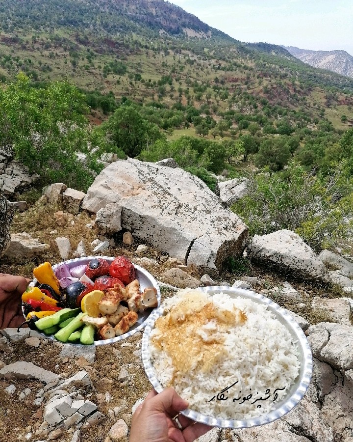 عکس جوجه کباب پرماجرا :)