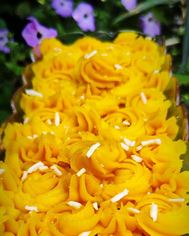 عکس حلوا شیر
