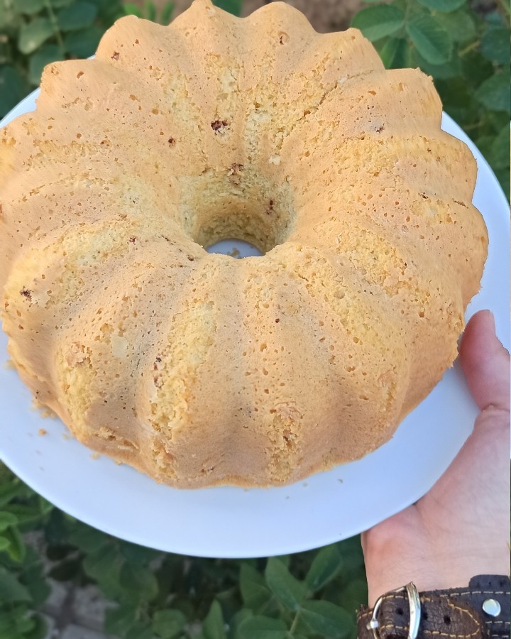 عکس کیک نارگیلی شکلاتی 