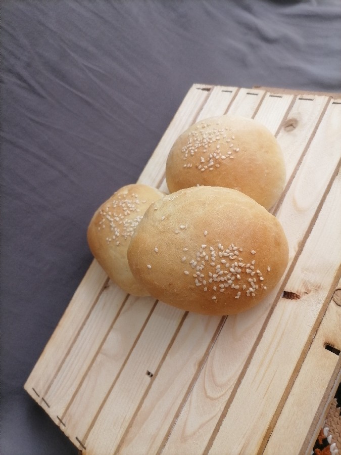 عکس نون همبرگر
