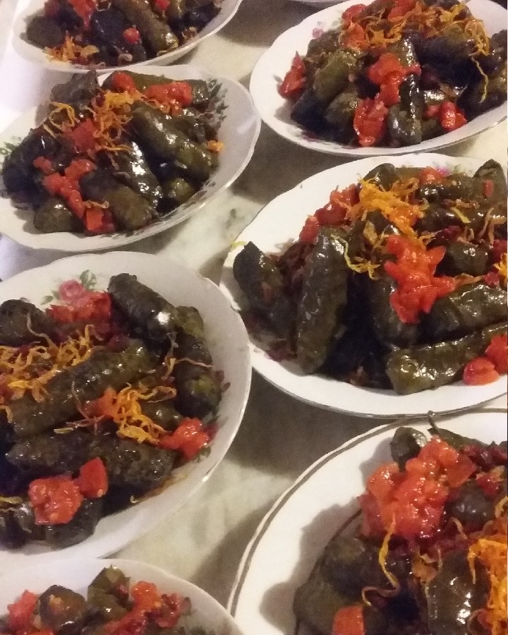 عکس دلمه 