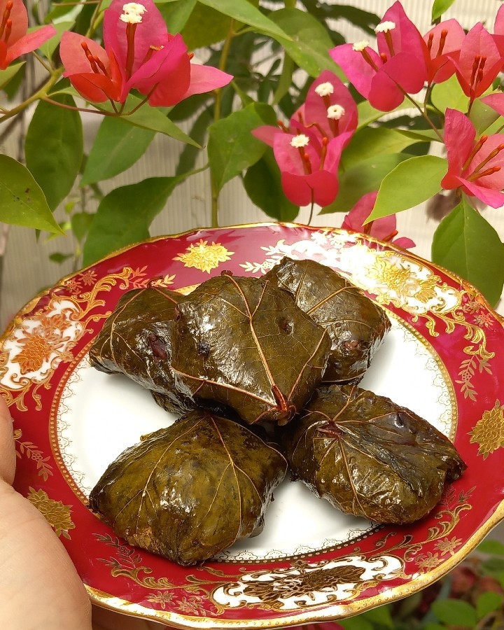 عکس دلمه