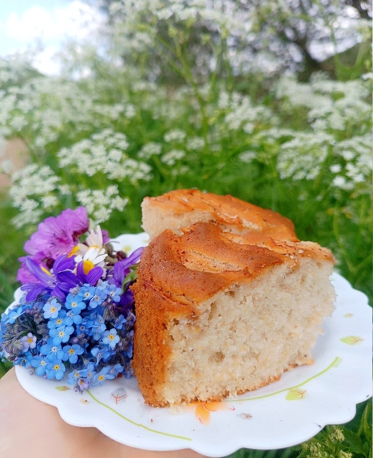 عکس روز مرگی ، بهارانه 