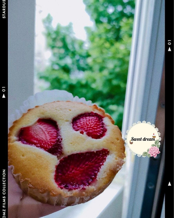 عکس پای توت فرنگی 
