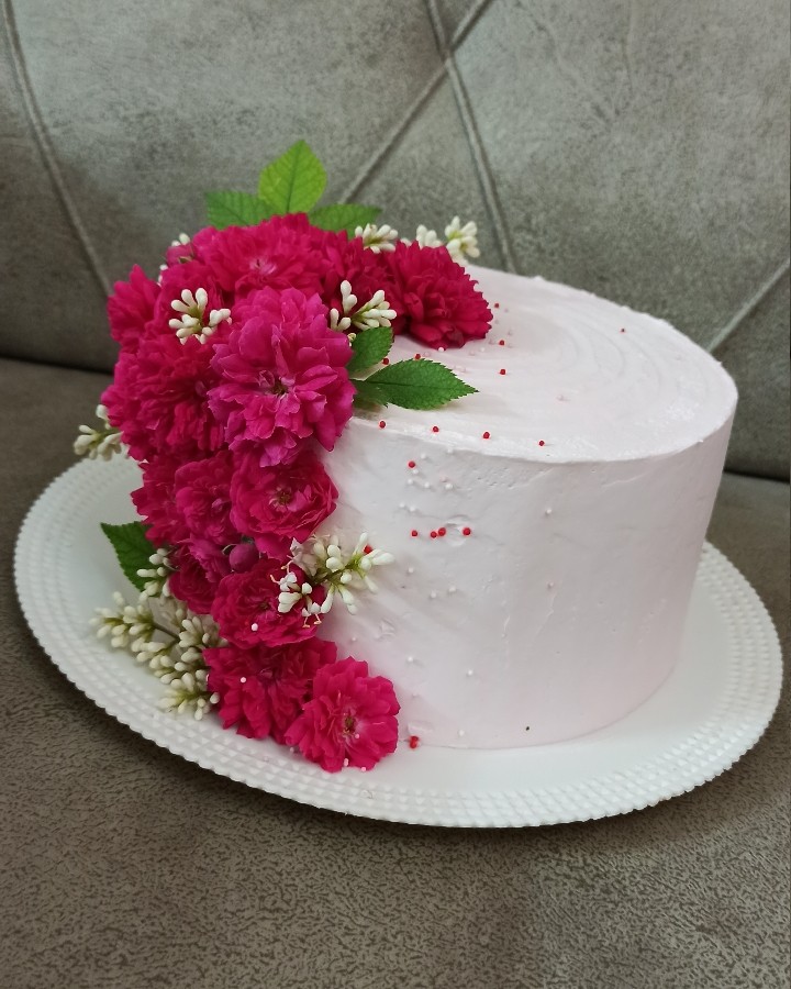 عکس کیک اسفنجی