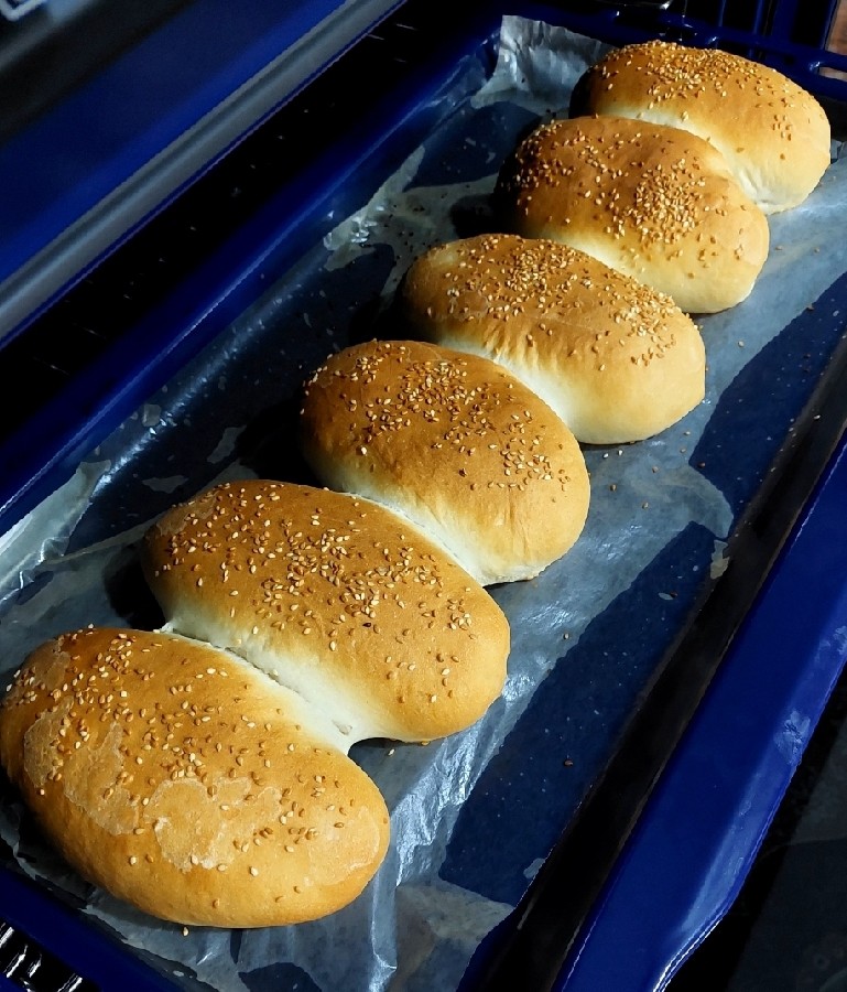 عکس باگت خانگی
