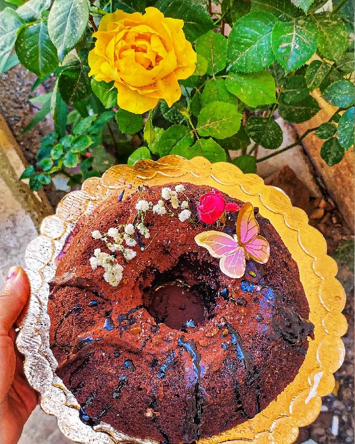 عکس کیک خیس شکلاتی
