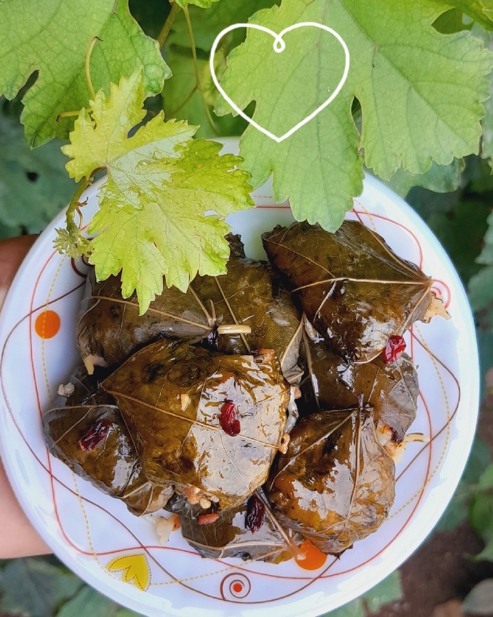 عکس دلمه