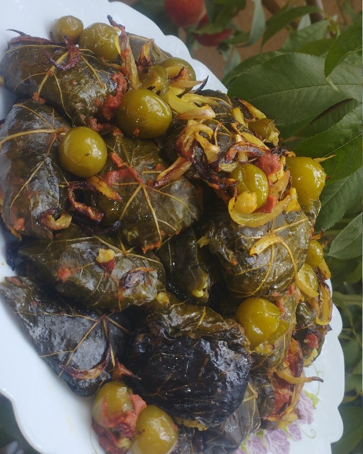 عکس دلمه 