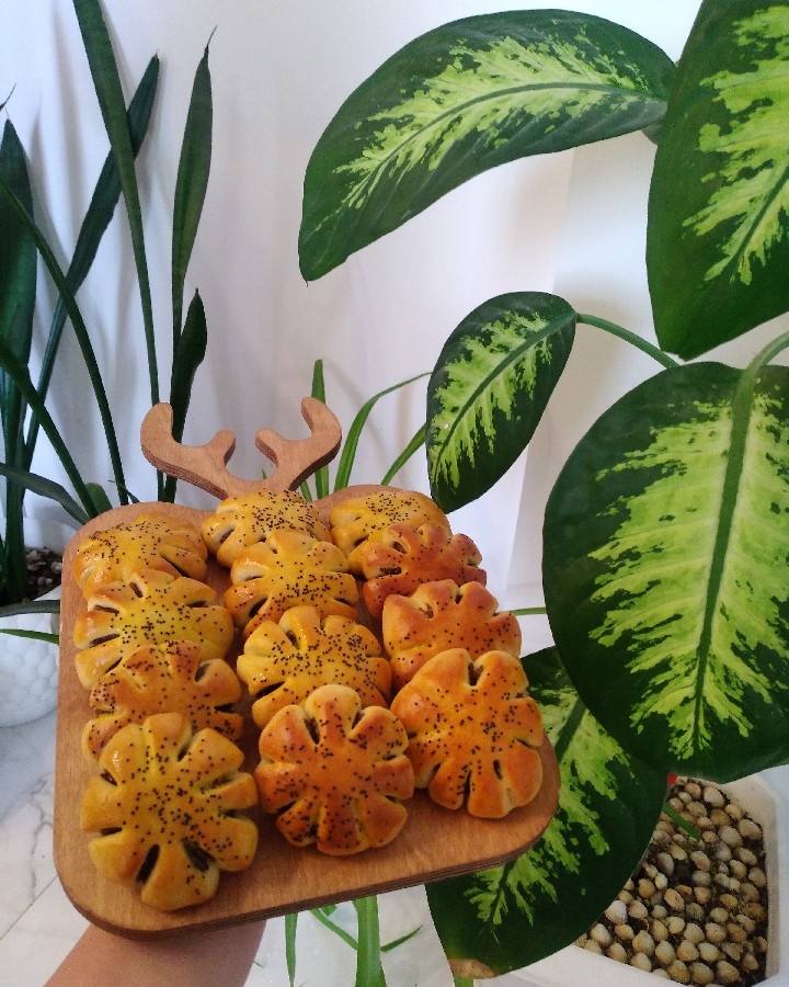 عکس اندکی روز مرگی