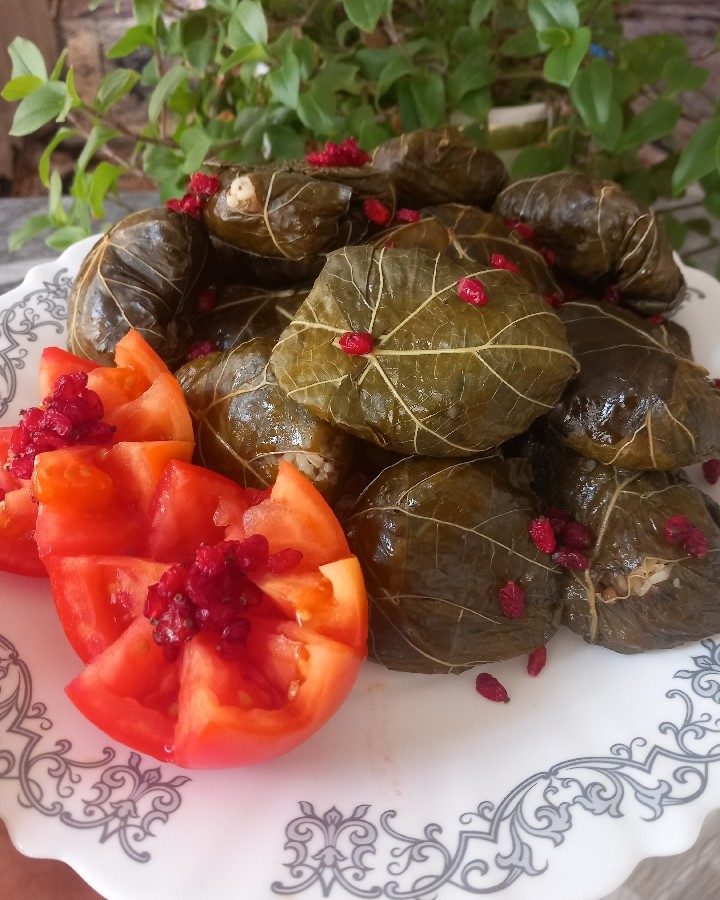 عکس دلمه جان 