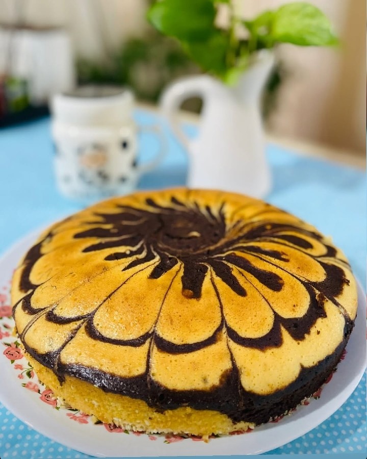 عکس کیک زبرا