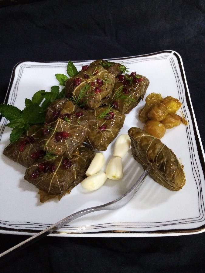 عکس دلمه