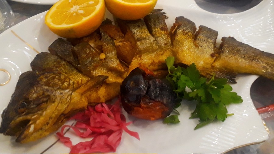 عکس ماهی