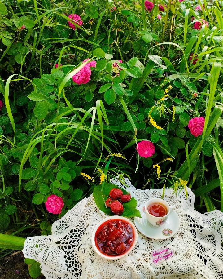عکس مربا توت فرنگی