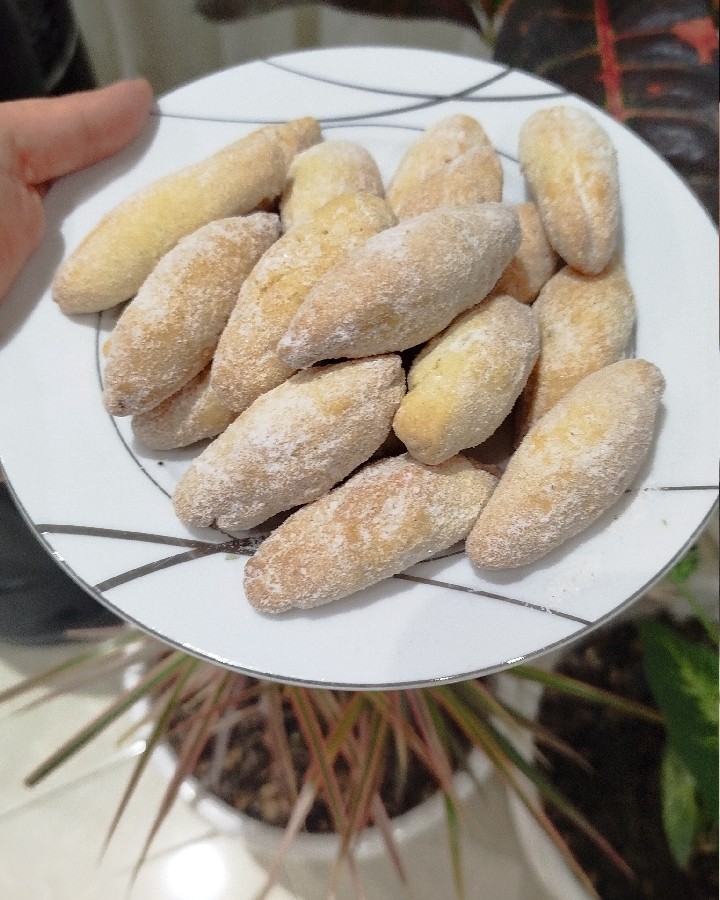 عکس ساق عروس 