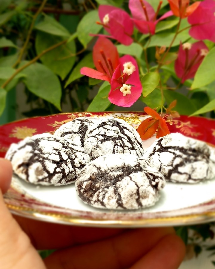 عکس کوکی کرینکل