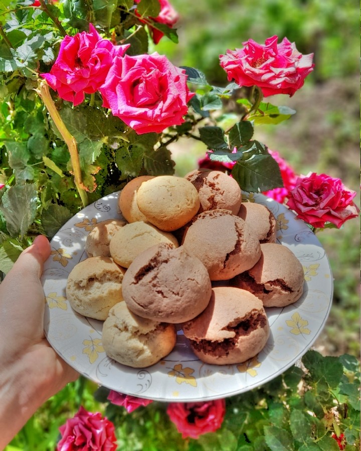 عکس کوکی 