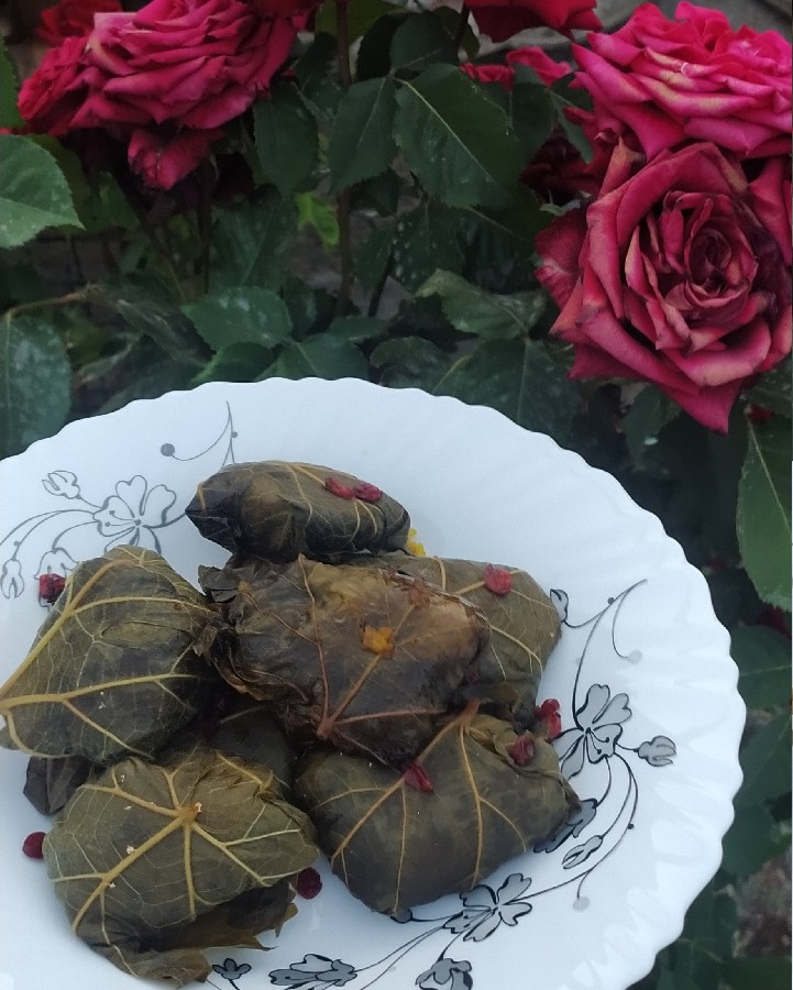 عکس 

دلمه پزون