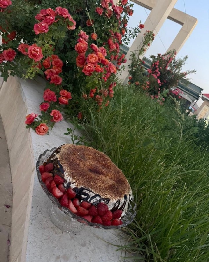 عکس کیک تیرامیسو
