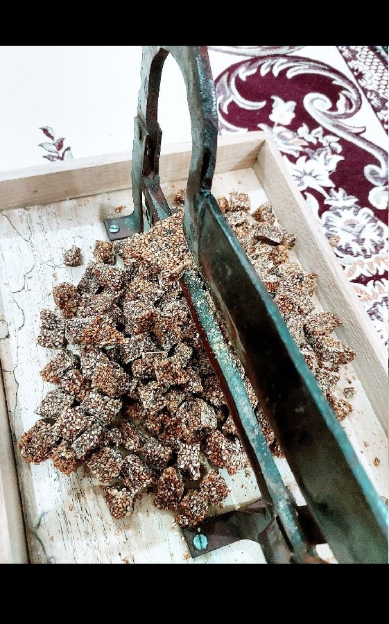 عکس روزمرگی