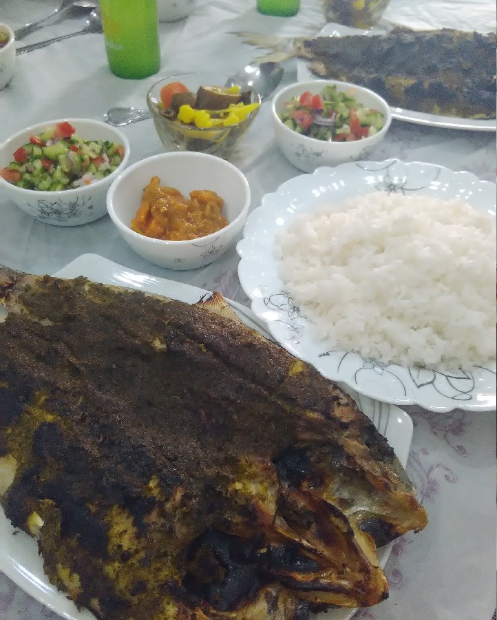 عکس ماهی صبور 