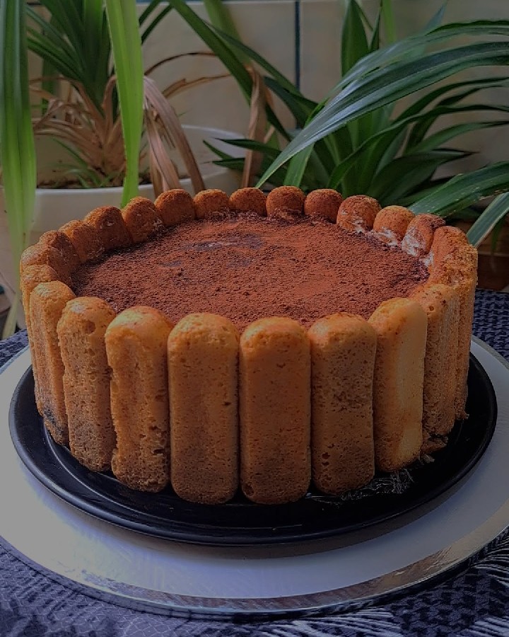 عکس تیرامیسو قالبی
