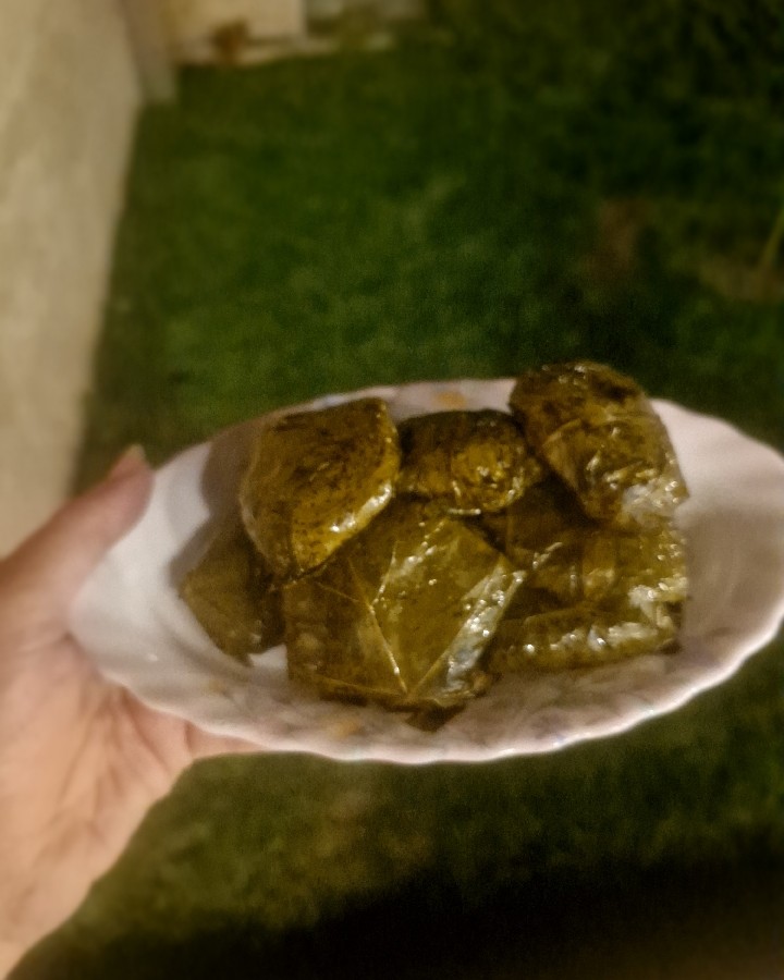 عکس دلمه برگ مو بدون گوشت
