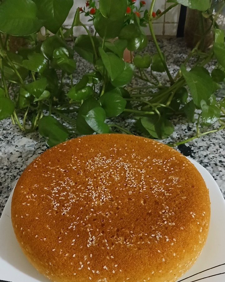 عکس کیک 