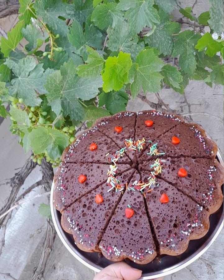 عکس کیک پنبه ایی