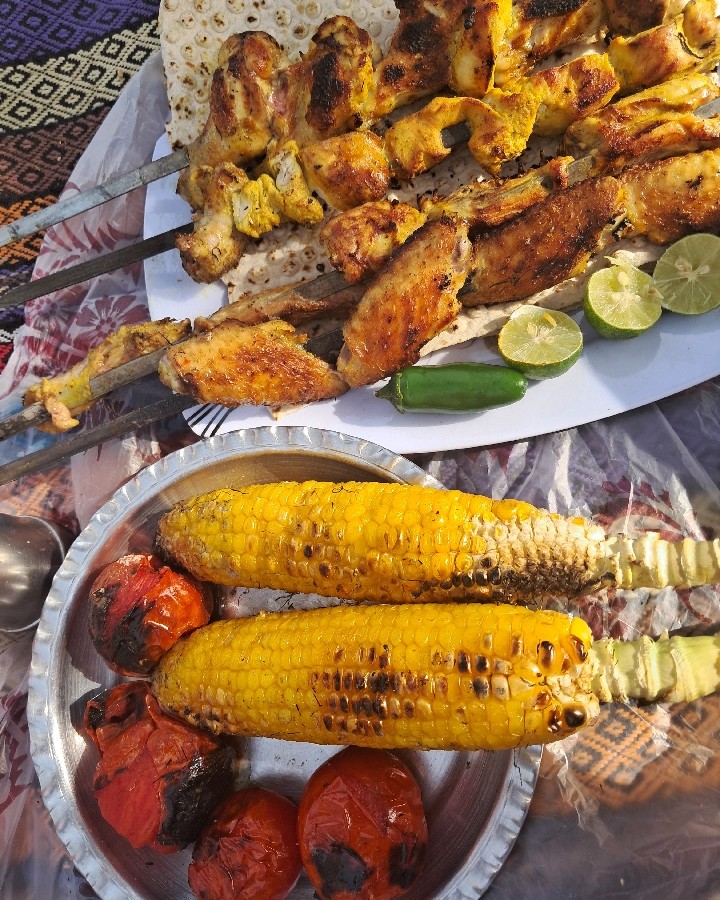 کباب صحرایی