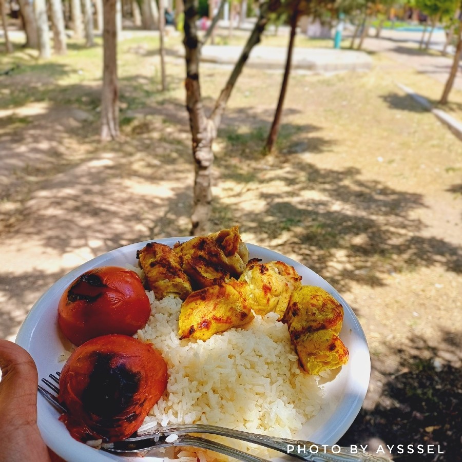 عکس جوجه کباب 