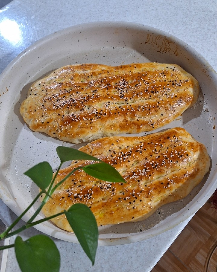 عکس نون بربری خونگی