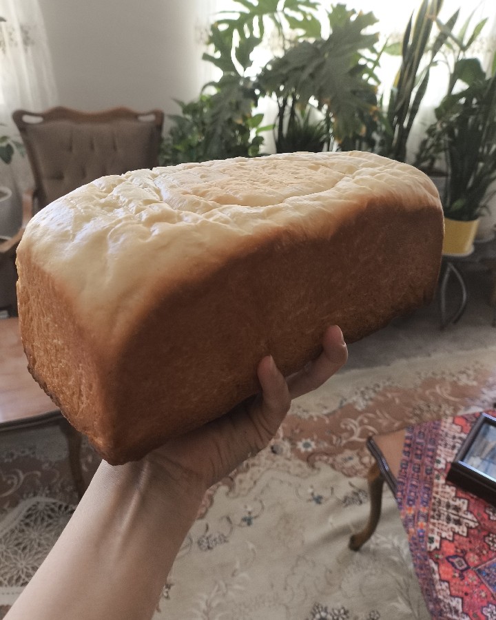 عکس نون تست 