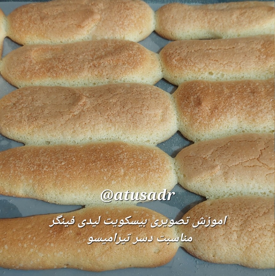 عکس لیدی فینگر خونگی