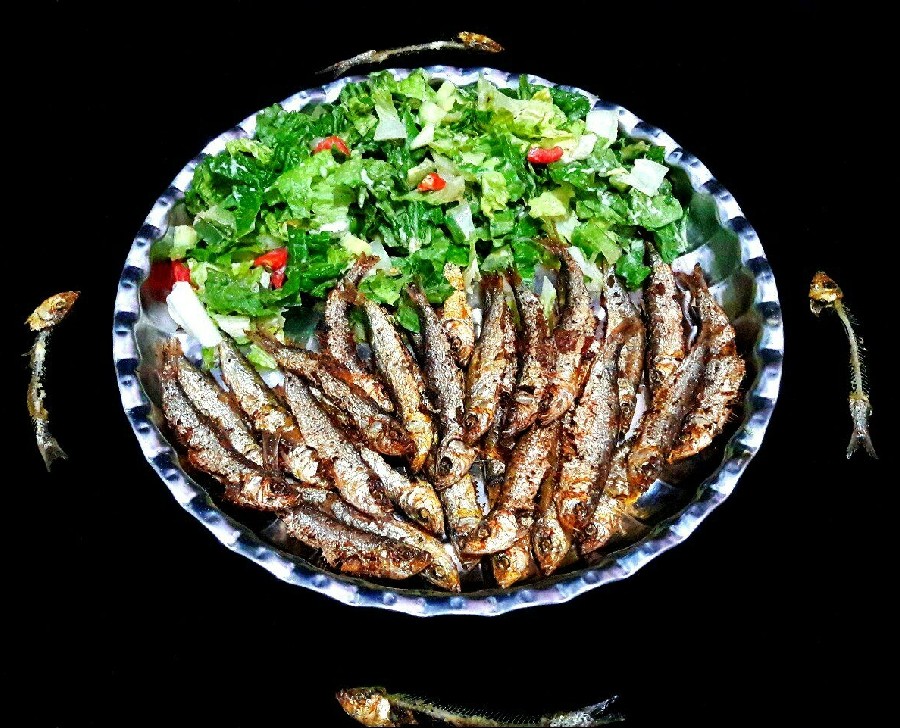 عکس ماهی کیلکا 
