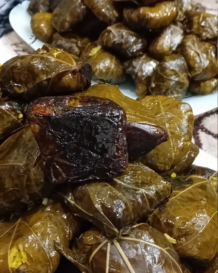 عکس دلمه