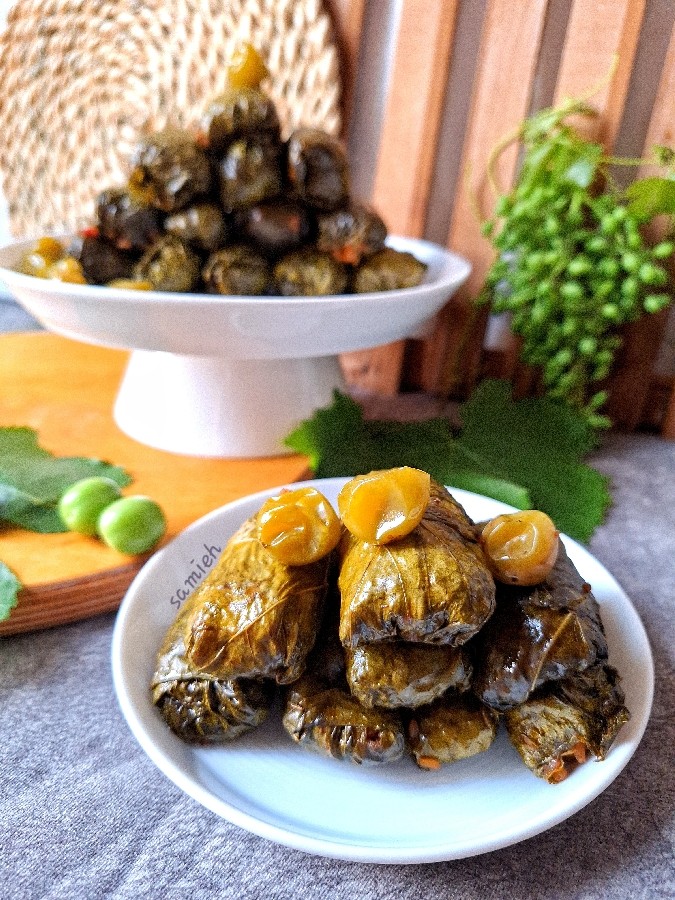 عکس دلمه