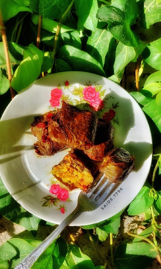 عکس دلمه برگ مو