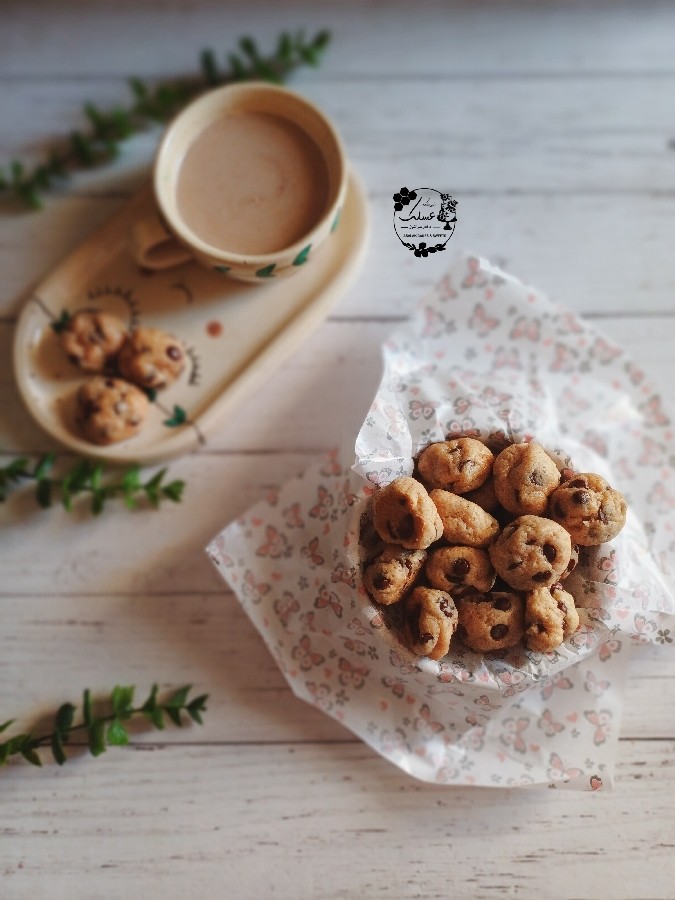 عکس مینی کوکی رژیمی 