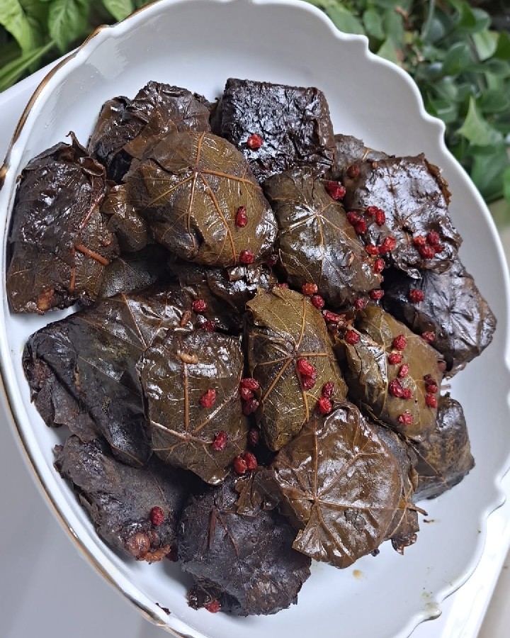 عکس دلمه برگ مو